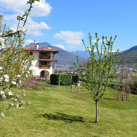 Apartment Il Gallo *
